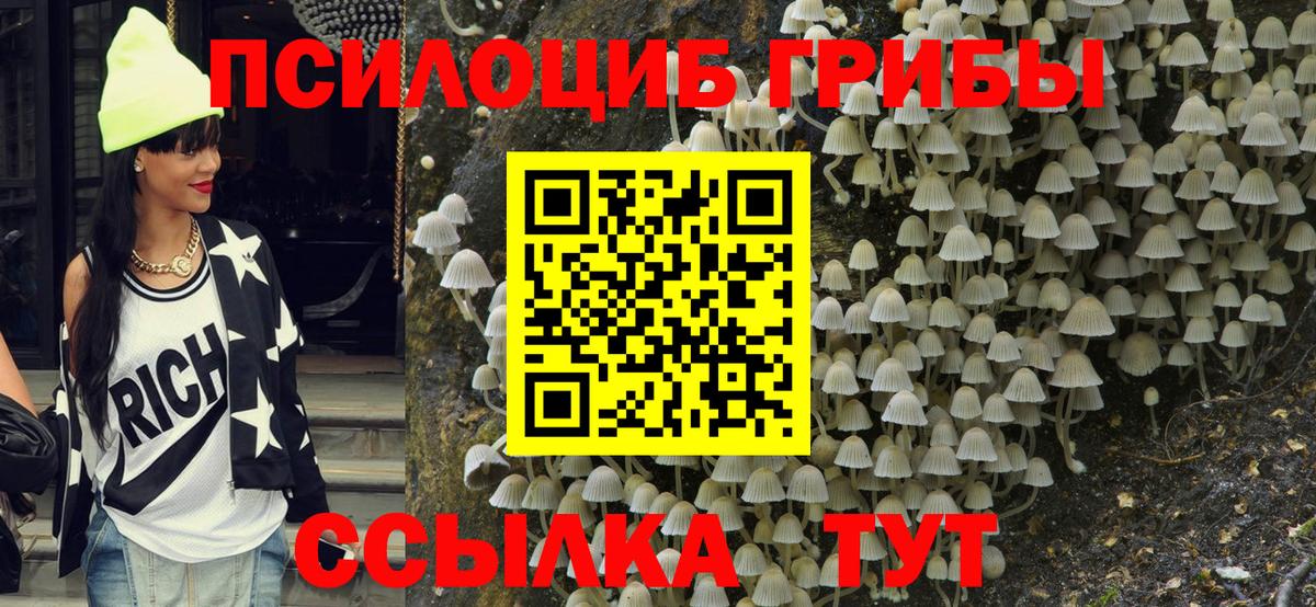 Псилоцибиновые грибы мицелий Пушкино