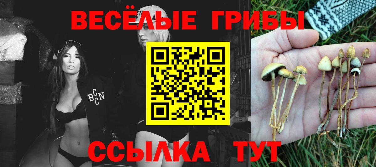 Пушкино  Галлюциногенные грибы мицелий  Вход с VPN 